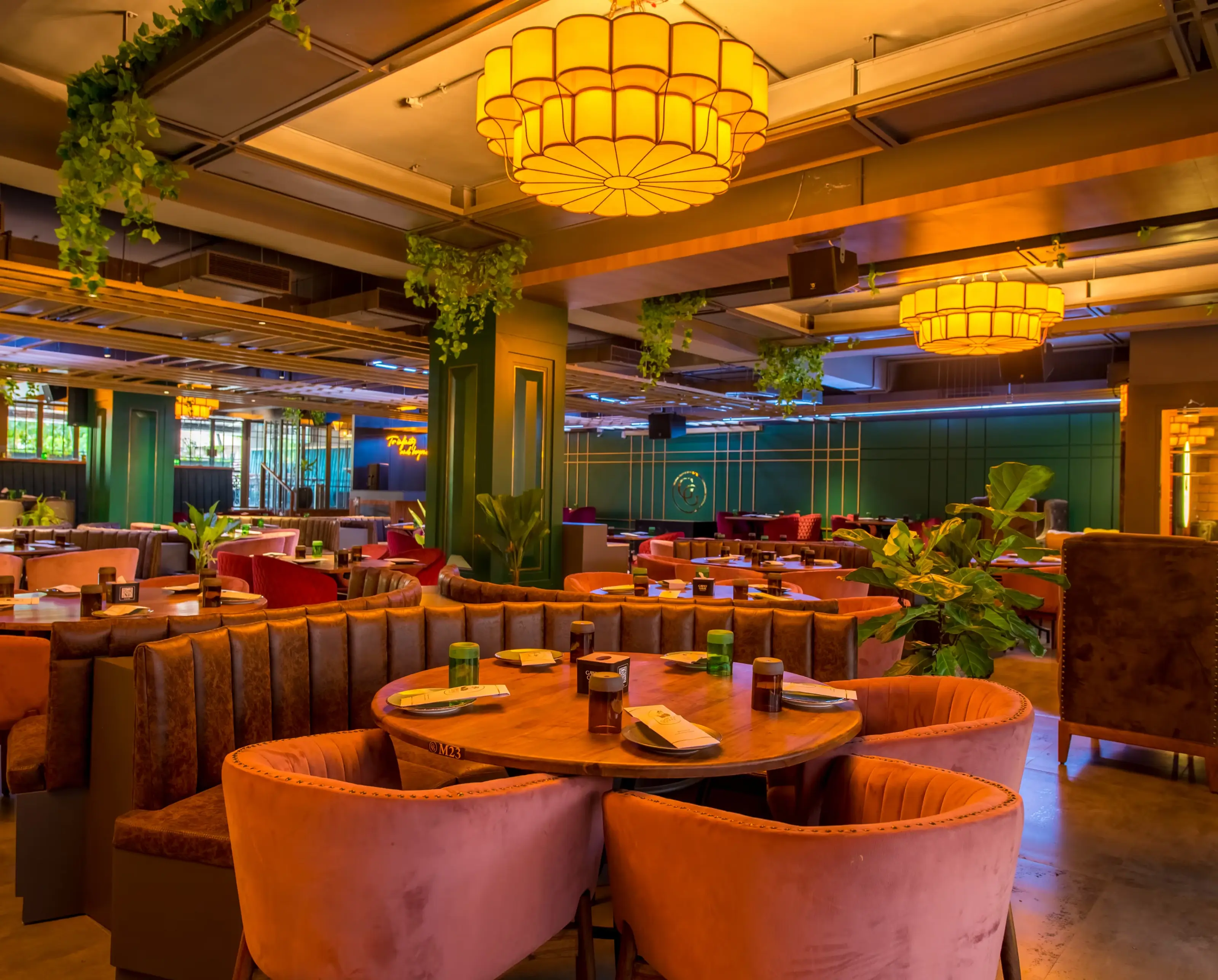 Gawky Goose - Design and Visual Communication